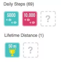 Fitbit Badges