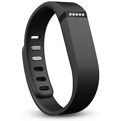 Fitbit Flex Review