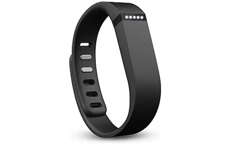 Fitbit Flex Review