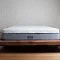 Novosbed review