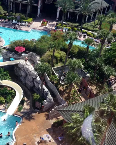 Caribe Royale Hotel
