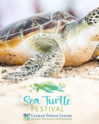 Grand Cayman Turtle Farm
