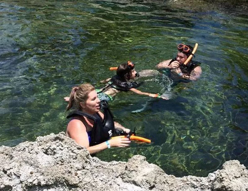 Snorkeling Turtle Farm