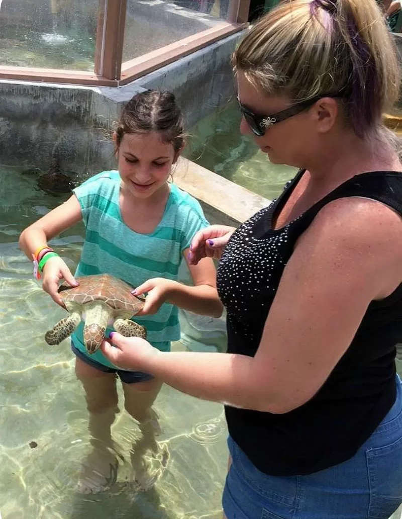 Grand Cayman Turtle Farm