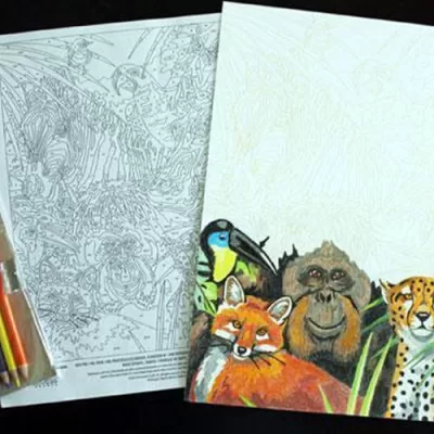 Pencil Color By Number Kit: Never Too Old to Color