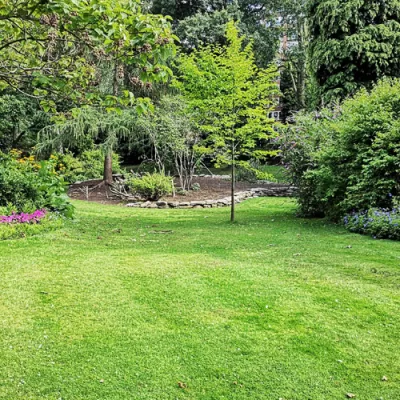 South Florida Lawn Tips: Maximizing Your Lawn’s Potential