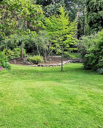 South Florida Lawn Tips