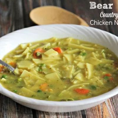 Store Bought Homemade Noodle Chicken Soup