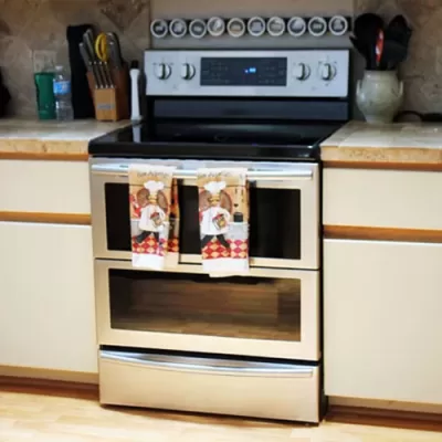 Samsung Dual Door Electric Range Review