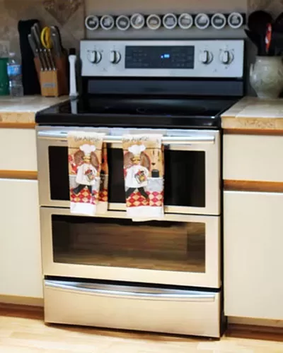 Samsung Dual Door Range Review