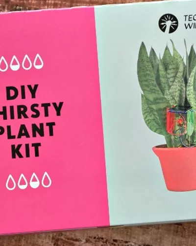 DIY Thirsty Plant Kit