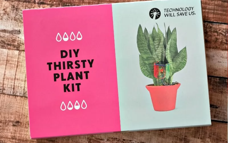 DIY Thirsty Plant Kit