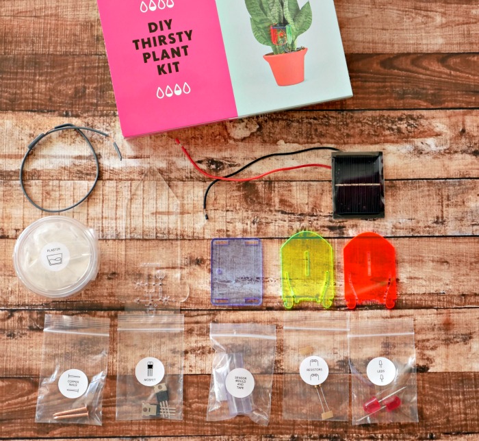 DIY Thirsty Plant Kit