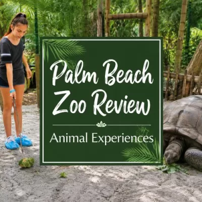 Palm Beach Zoo Review: Animal Experiences and What to Know Before You Go
