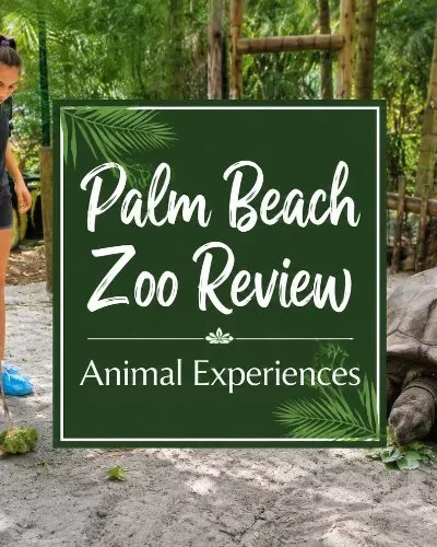 Aldabra tortoise at the Palm Beach Zoo with a large centered Palm Beach Zoo Review Animal Experiences title graphic
