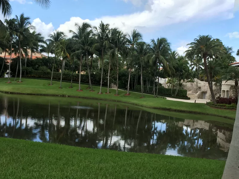 Trump National Doral Review