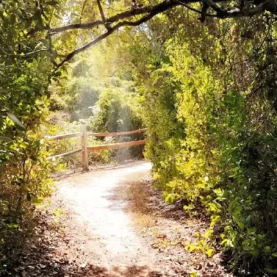 Best Miami Trails