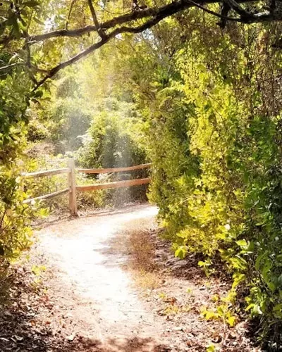 Best Miami Trails