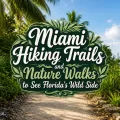 Miami hiking trails and nature walks title over a tropical trail with palms, greenery, and coastal views.