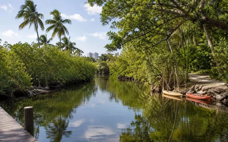 Quiet mangrove-lined waterway in Miami with calm water, tropical greenery, kayaks, and a nearby trail.