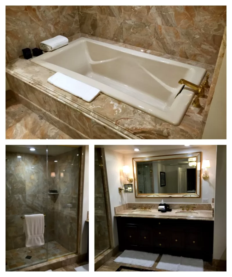 Luxurious Bathroom