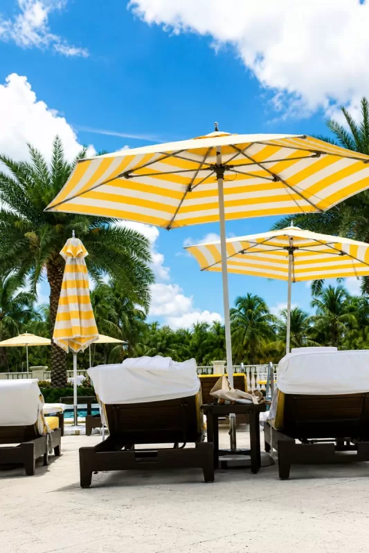 Poolside lounge chairs and yellow striped umbrellas surrounded by palm trees at Trump National Doral Miami.