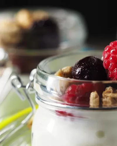 Yogurt Recipes