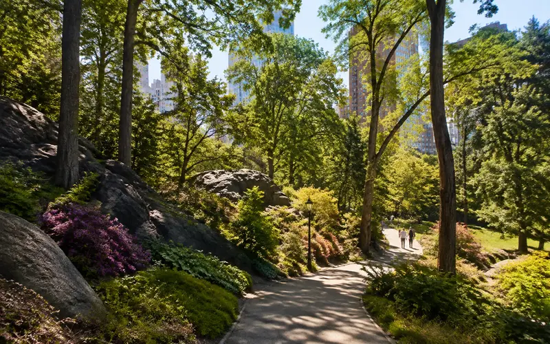 Peaceful wooded walking path inspired by New York City's quieter green spaces
