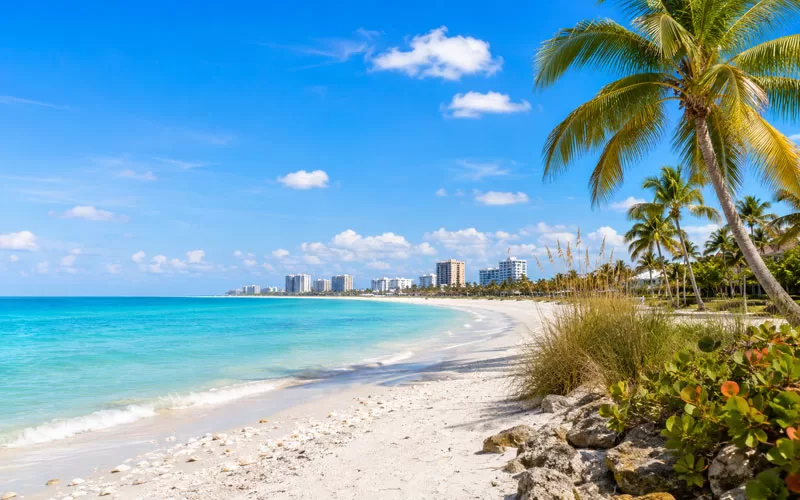 White sand beach on Marco Island with turquoise Gulf water, palm trees, and beachfront buildings in the distance