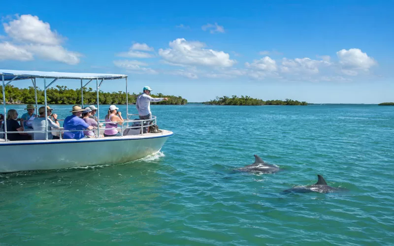 Tour boat watching dolphins in open coastal water near Marco Island with mangrove islands in the distance