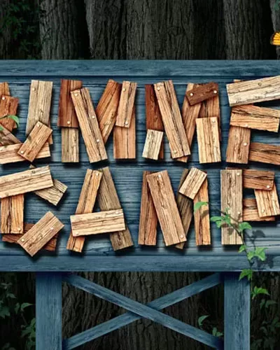 summer camp