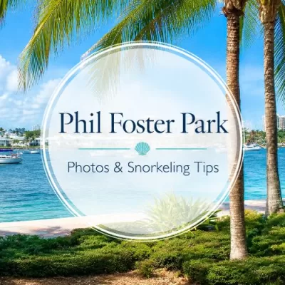Phil Foster Park in Florida: Photos and Snorkeling Tips