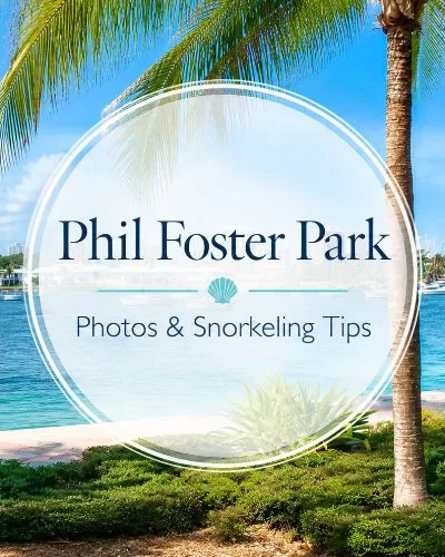 Phil Foster Park with palm trees, boats, and snorkeling tips text