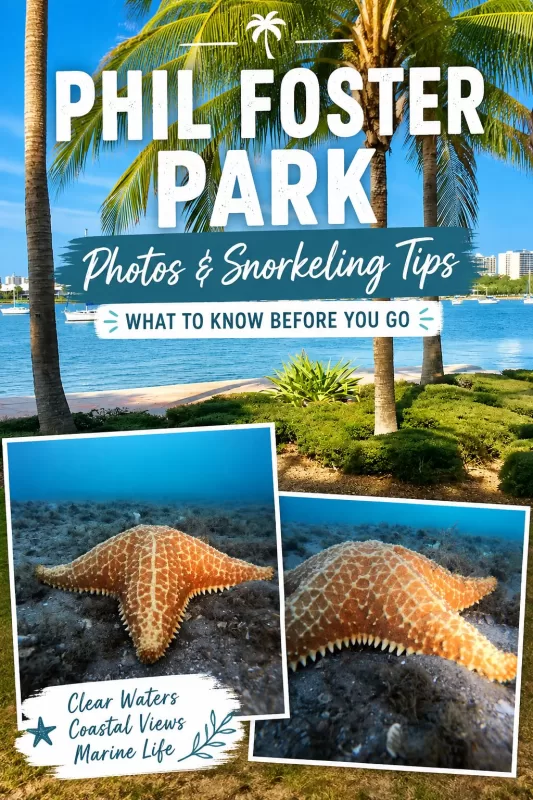 Phil Foster Park guide with palm trees, waterfront views, and underwater starfish photos