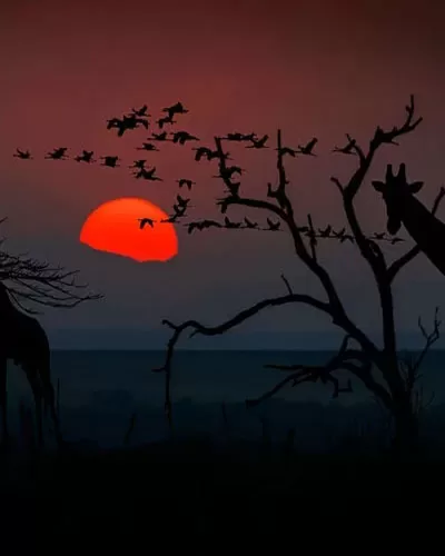 Africa