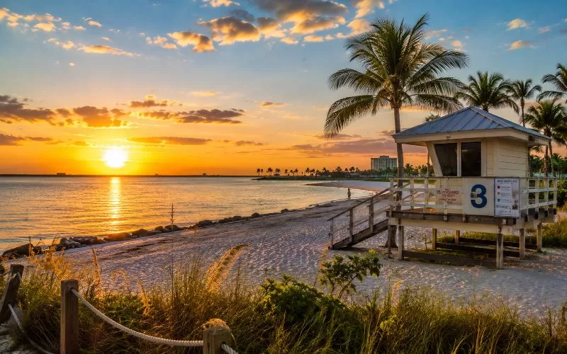 Peaceful Tampa-area beach at sunset with palm trees, a lifeguard tower, glowing golden skies, and calm waterfront views.