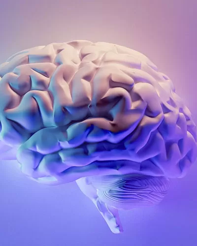 brain-boosting food