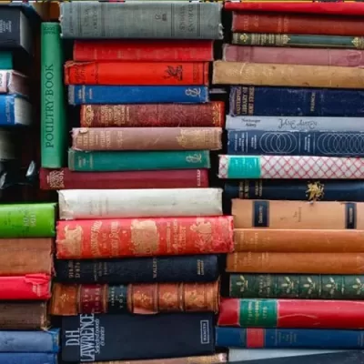 Summer Reading List: 10 of The Most Translated Children’s Books