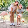 Animal Experiences at Palm Beach Zoo