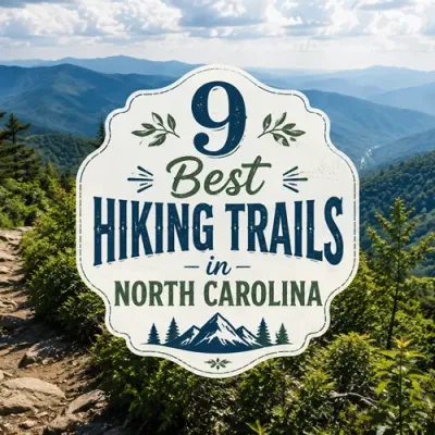 9 Best Hiking Trails in North Carolina for Incredible Views