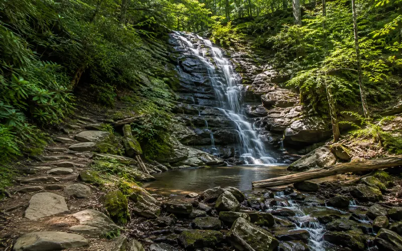 Forest hiking trail leading toward a cascading mountain waterfall