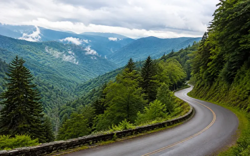 Winding scenic road through dense forest and misty mountain ridges in Great Smoky Mountains National Park.