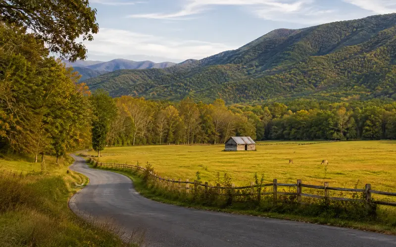 Cades Cove valley with a winding road, historic cabin, grazing deer, and wooded Smoky Mountains.