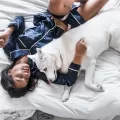 Letting Your Dog Sleep In Your Bed