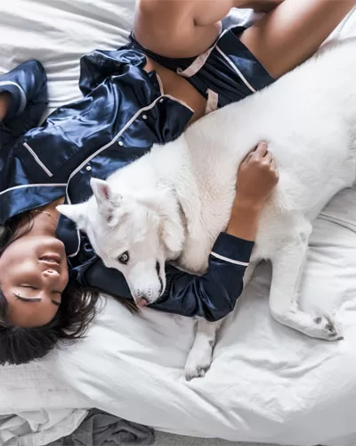 Letting Your Dog Sleep In Your Bed