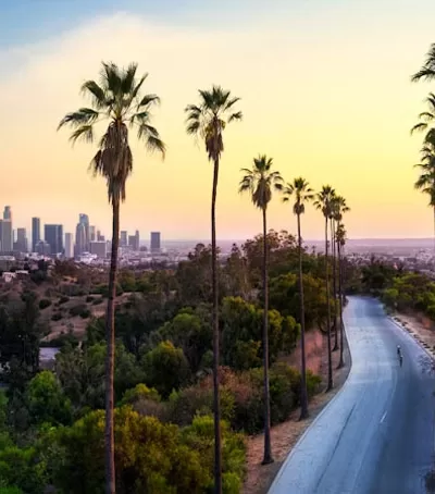 Vacation to Los Angeles