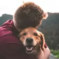 emotional support animal