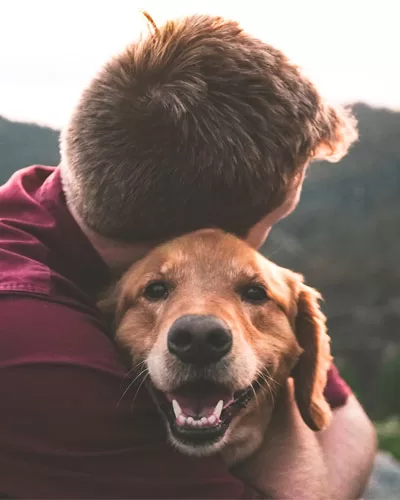 emotional support animal