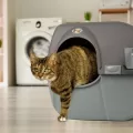 best litter box Omega Paw Roll'n Clean