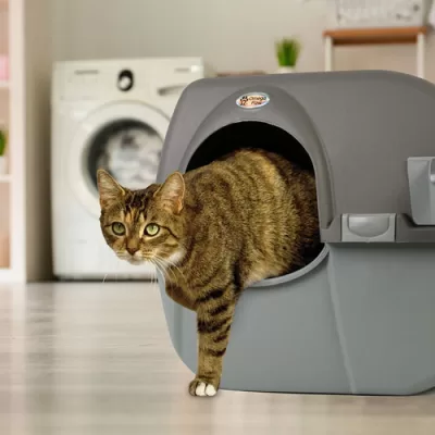 best litter box Omega Paw Roll'n Clean